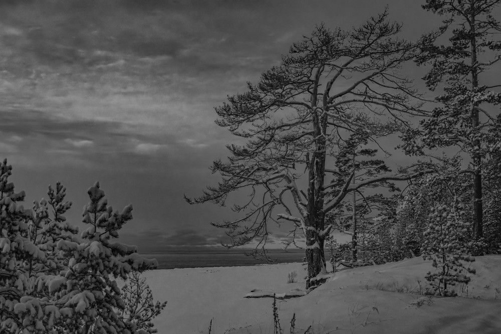 Photograph by Александра Раева