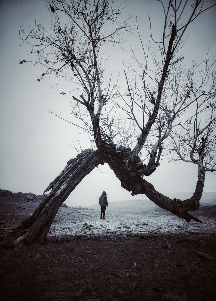 Photograph by Hamid espanani