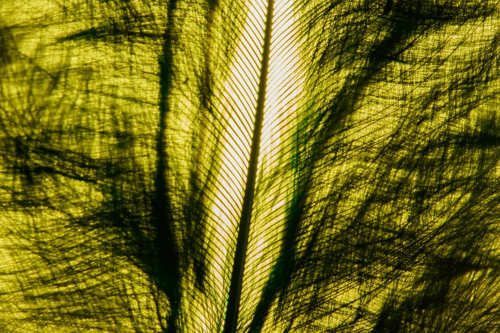 Фотография автора Екатерина Хисматулина