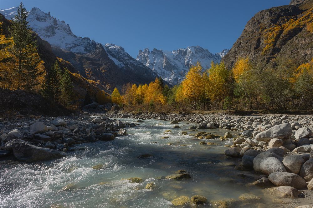 Photograph by Ekaterina Romanova