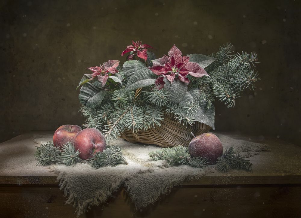 Photograph by Татьяна Феденкова