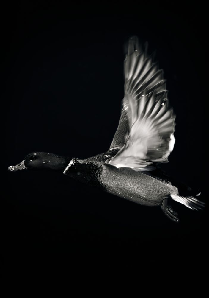 Photograph by Мария Ирешева