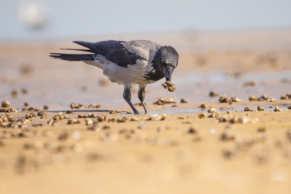 Photograph by Мария Долбич