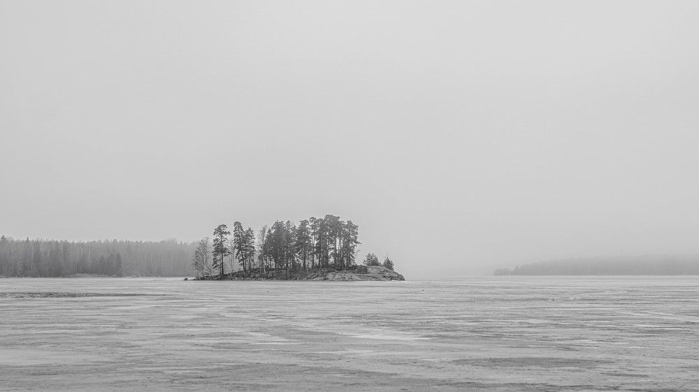 Photograph by Александра Раева