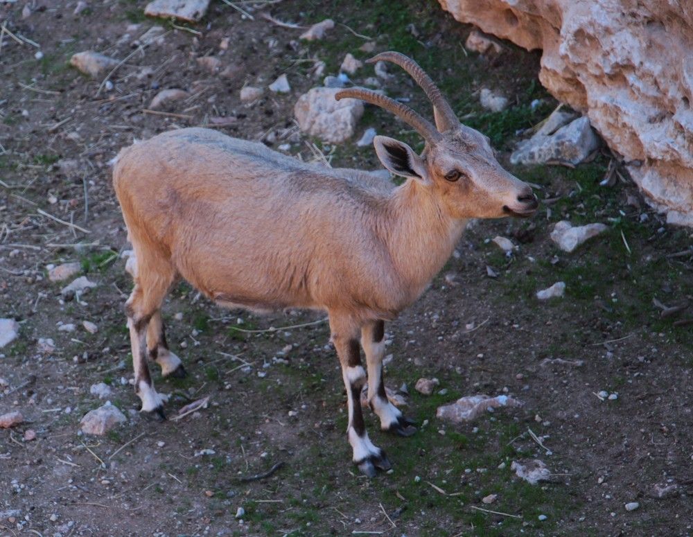 Photograph by Людмила Бутова