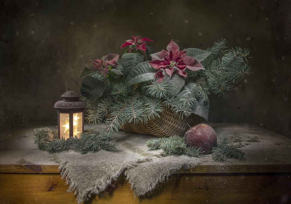 Photograph by Татьяна Феденкова