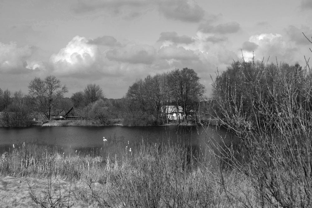 Фотография автора Наталья Почтенная