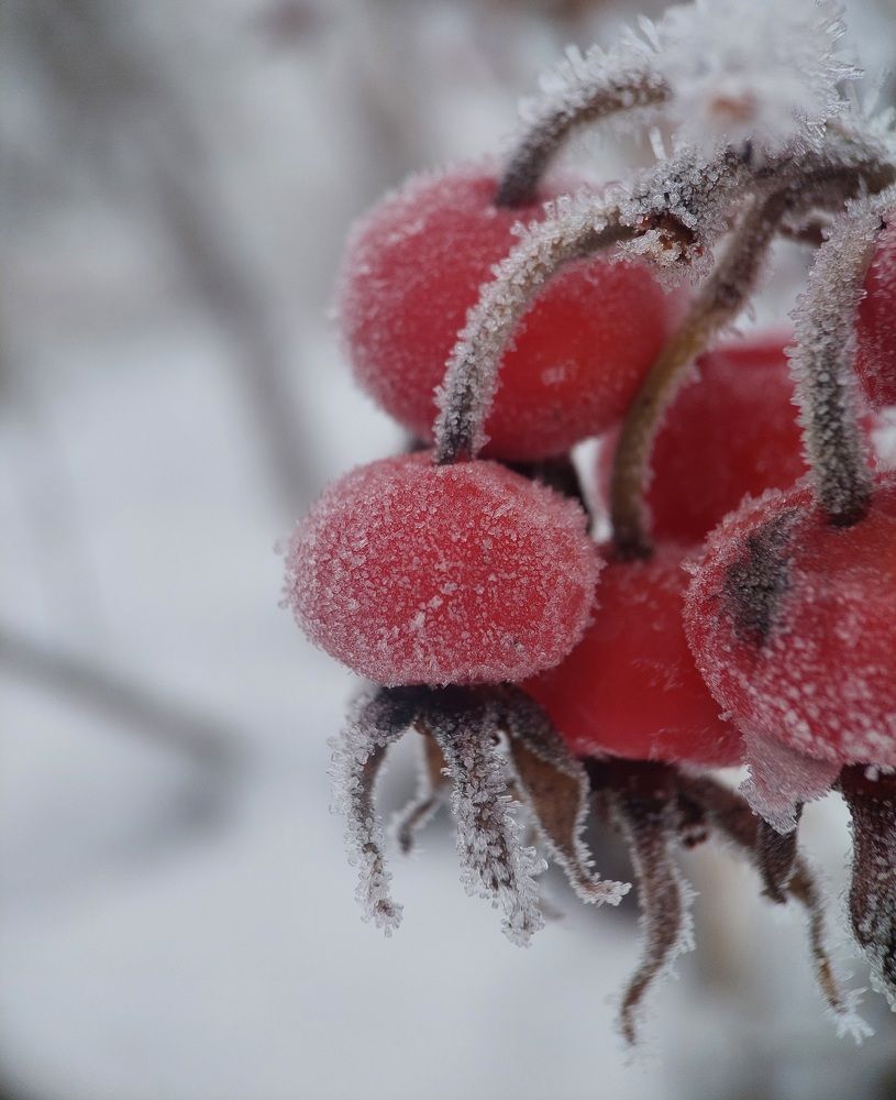 Photograph by Данила Черезов