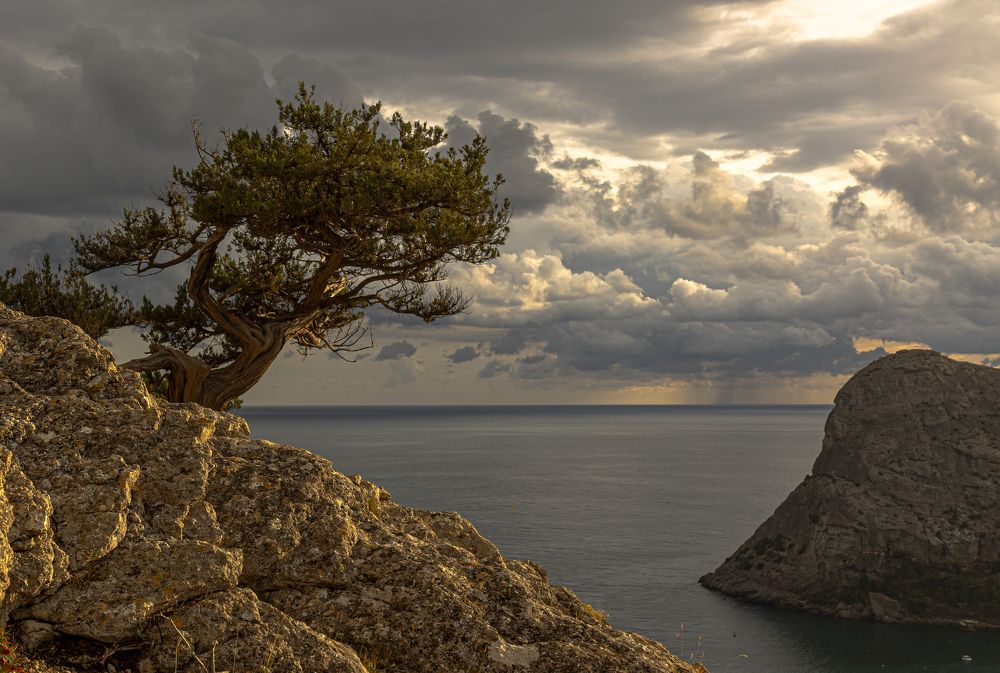 Photograph by Marina Buzina