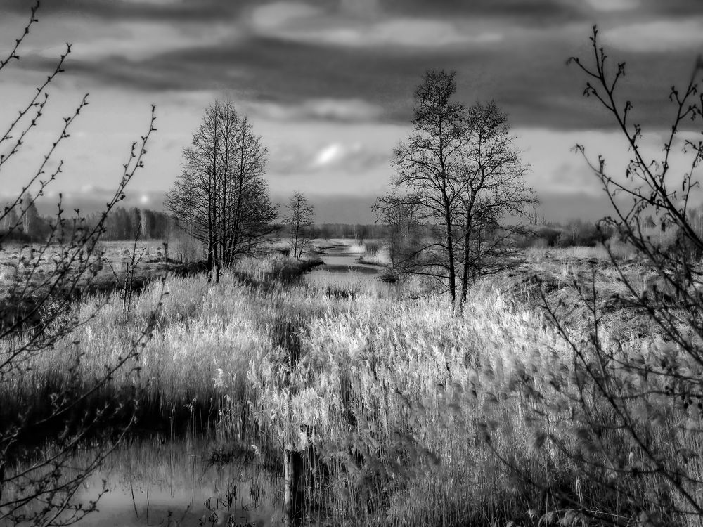 Photograph by Дмитрий Потапов