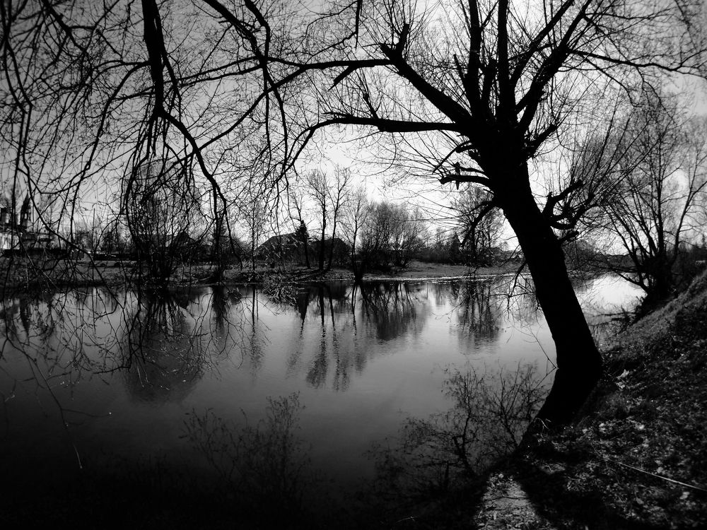 Photograph by Дмитрий Потапов