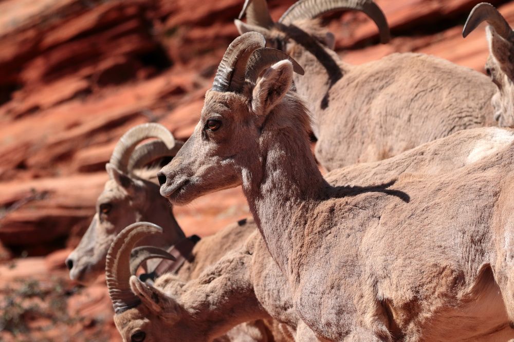 Photograph by Евгений Власов