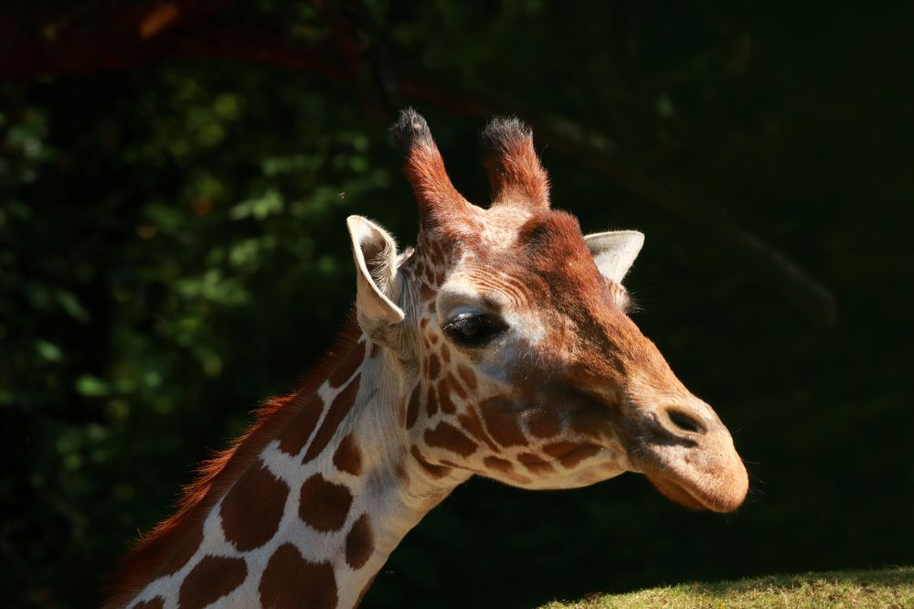 Photograph by Евгений Власов