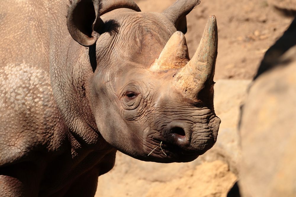 Photograph by Евгений Власов