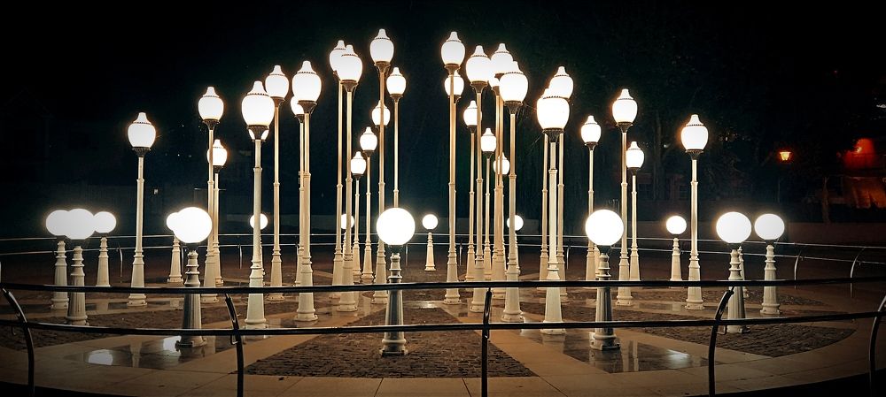 Photograph by Mishel Photographer