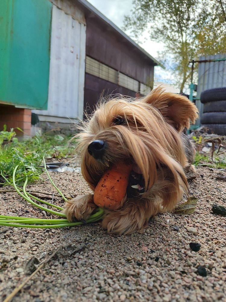 Photograph by Валерия Кобзарева