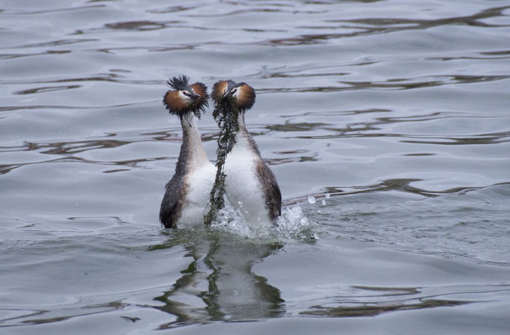 Photograph by Аlessandro