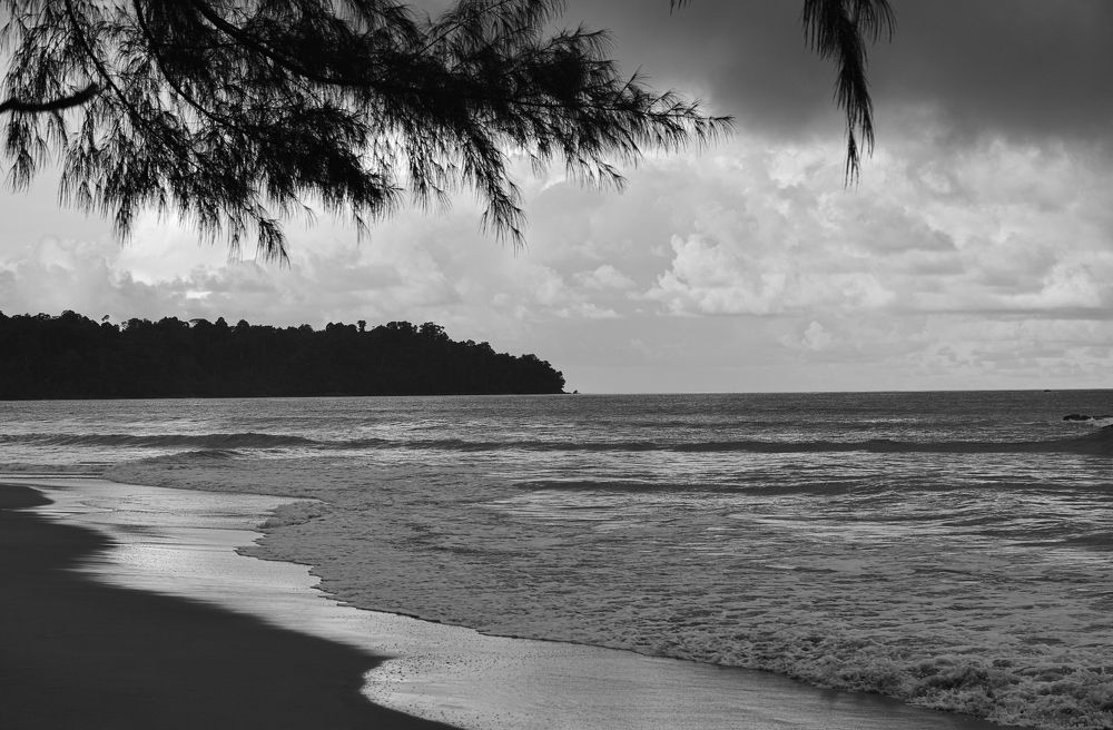 Тихое побережье