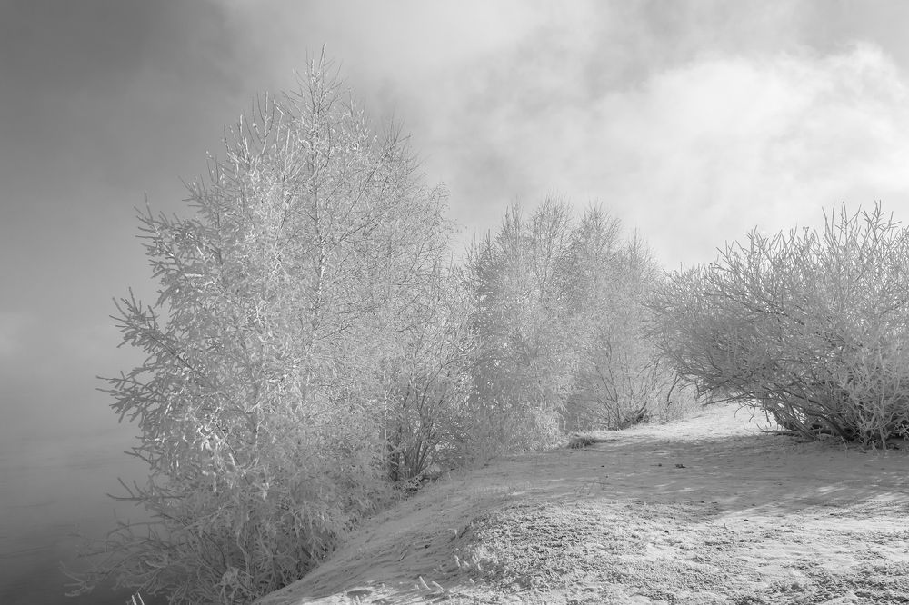 Photograph by Koledova Irina