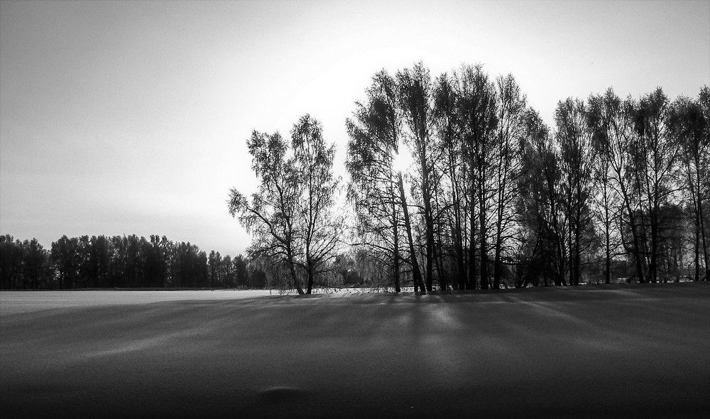 Photograph by Дмитрий