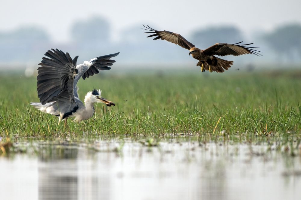 Photograph by Sharad Mansharamani