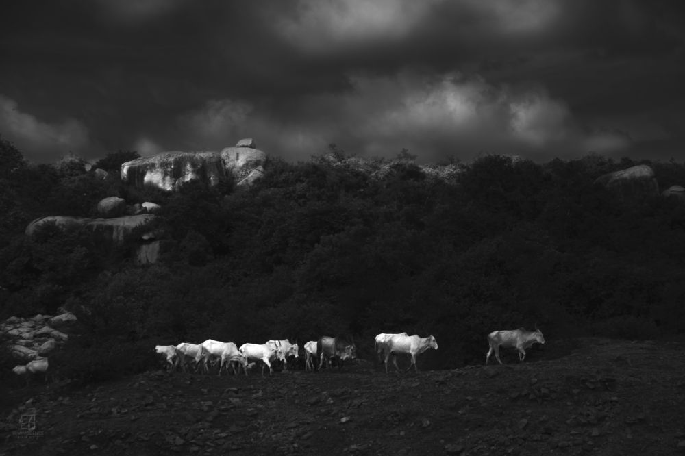 Фотография автора Anil Prabhakar