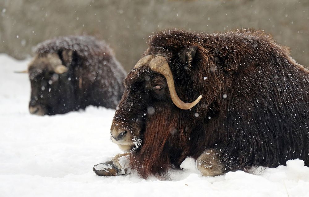 Photograph by Бибичков Михаил