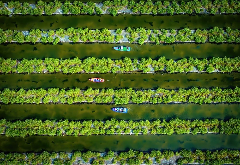 Photograph by Cao Alex