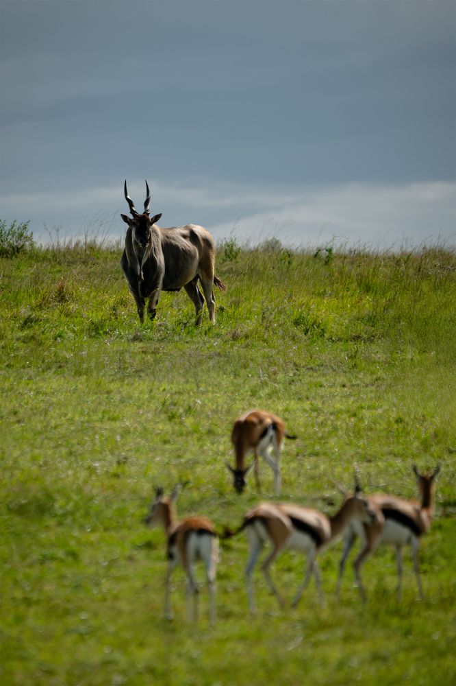 Photograph by Nguyen Dinh
