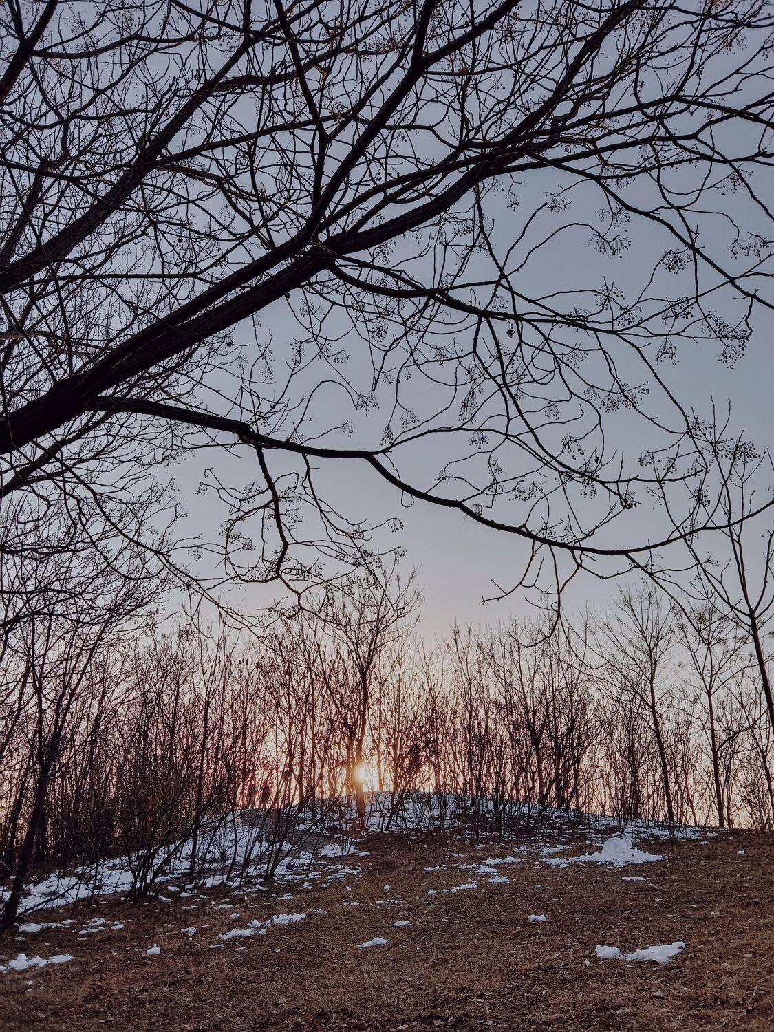 Golden Hour Through The Patterns