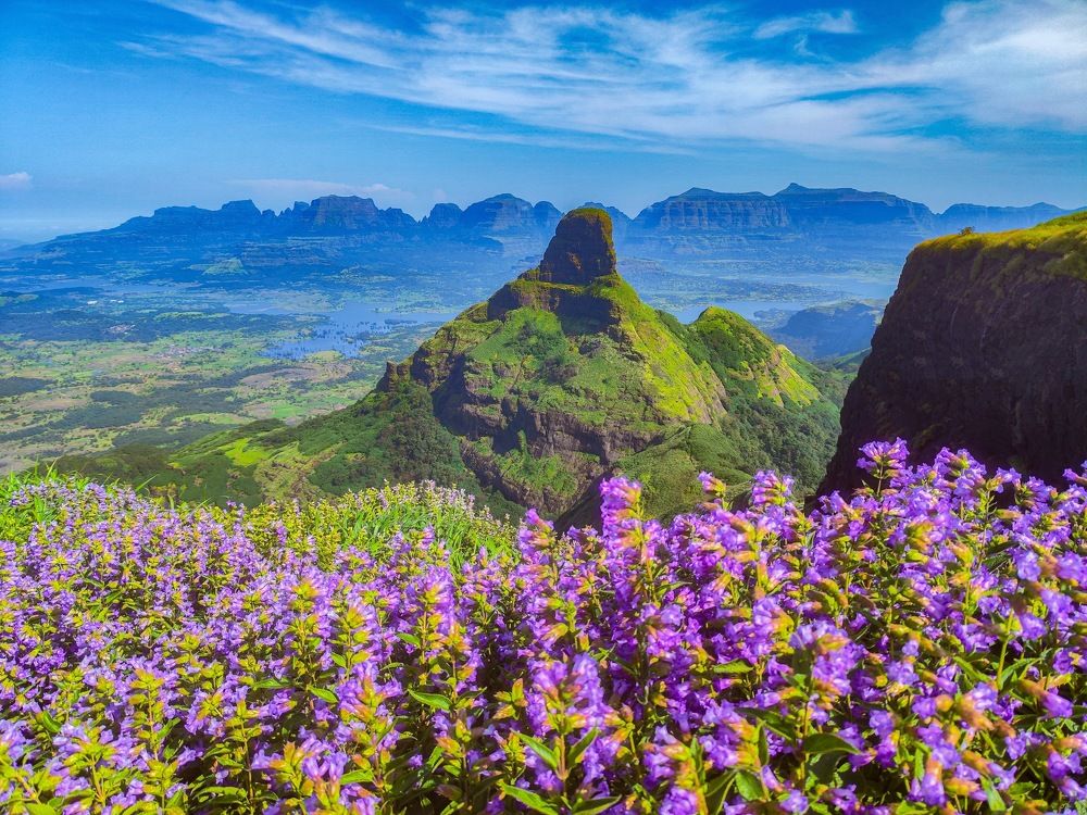 Photograph by Nitin Baste