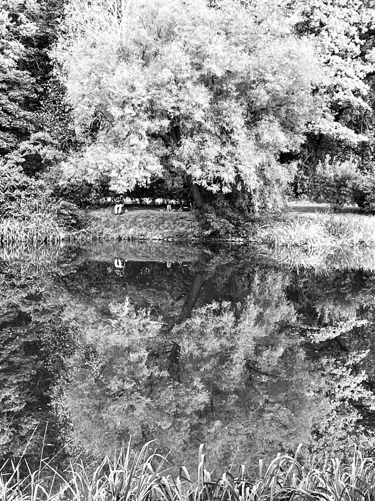 Photograph by Юлия Кузминкова