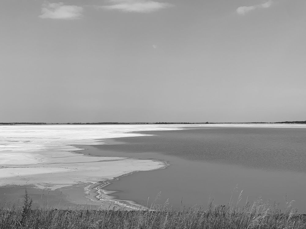 Фотография автора Ирина Шпаковская