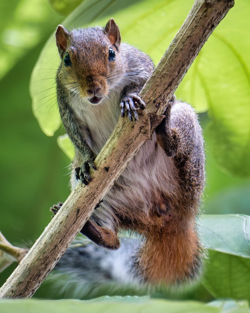 Photograph by Kedarnath M S