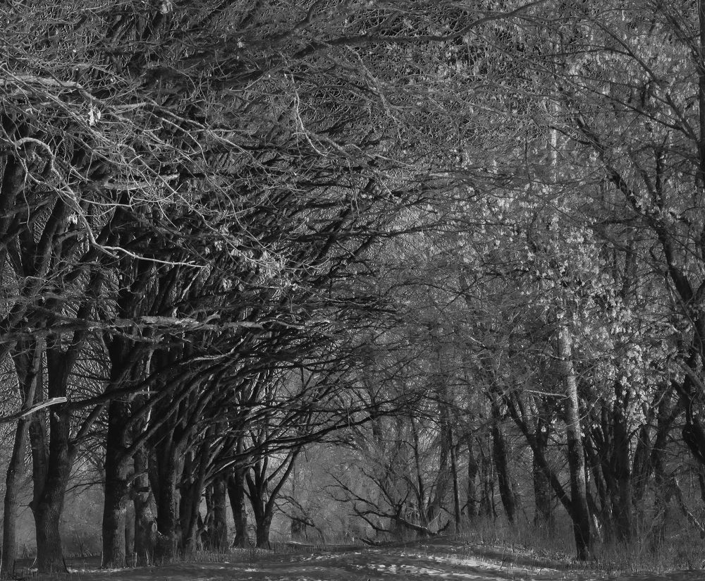 Photograph by Викулов Сергей