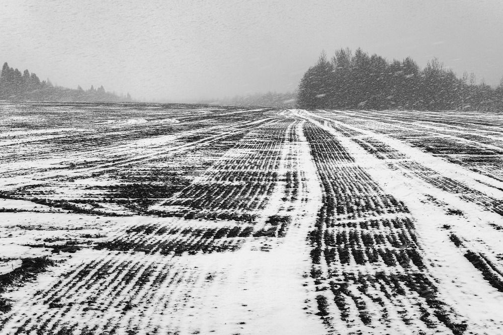 Photograph by Sergey Kalinin