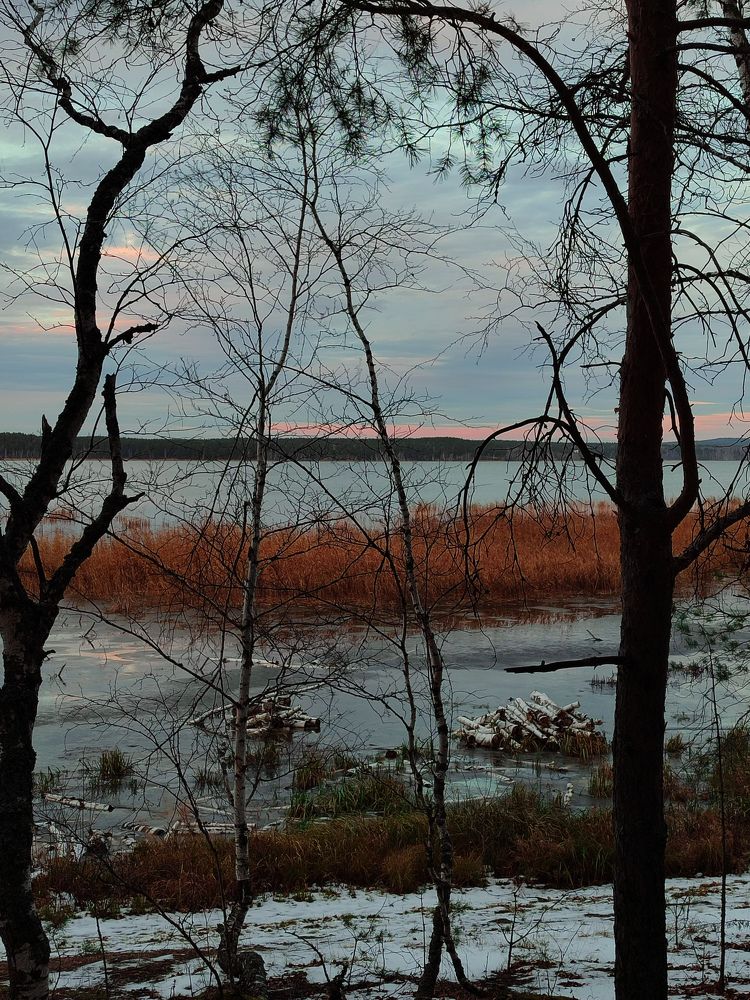 Photo #11542527