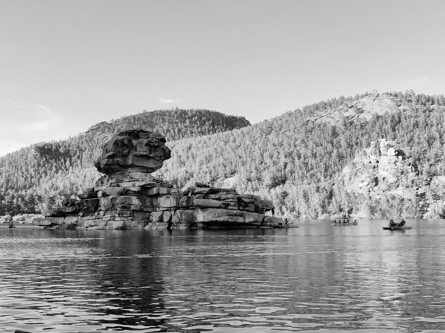 Photo #11542533