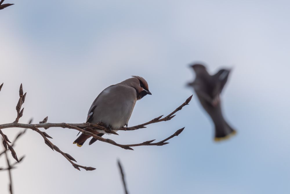 Photograph by Альварис Сукманюк