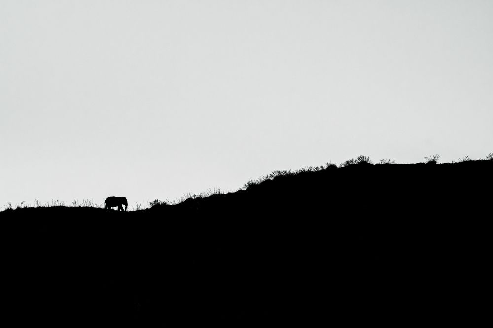 Фотография автора Anandhu M