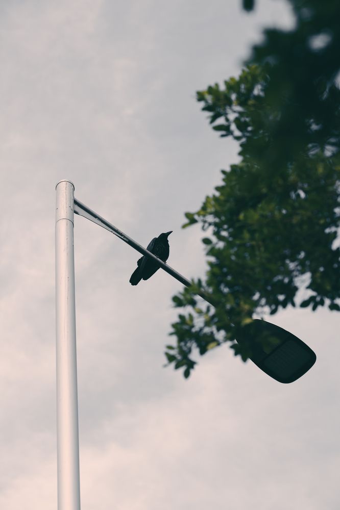 Photograph by Ahmadjon Mamirjanov