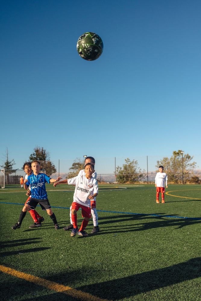 Photograph by Anna Vlasova