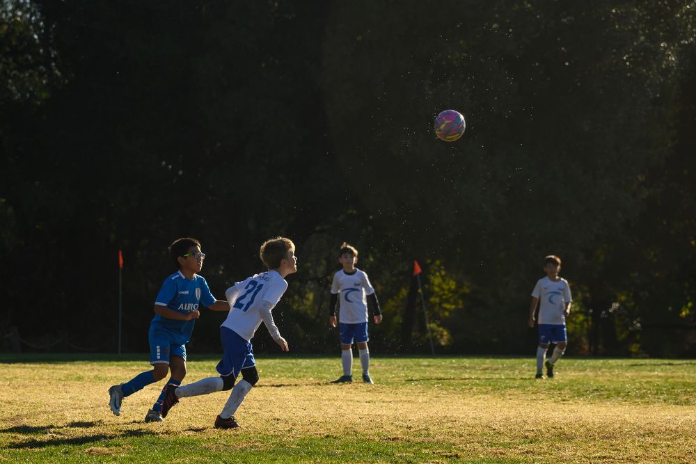 Photograph by Anna Vlasova