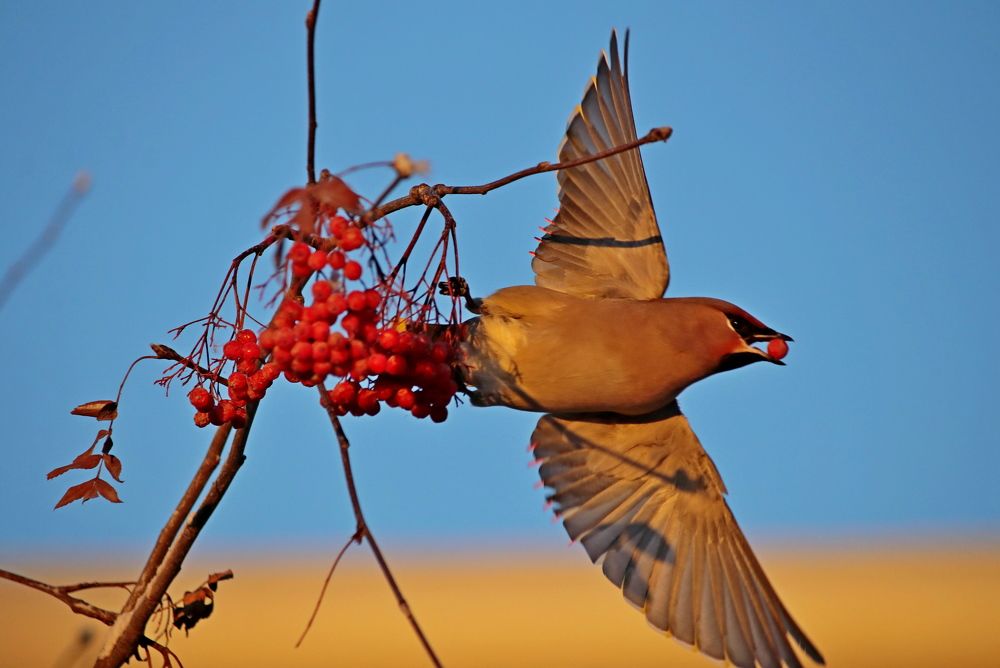 Photograph by Александр Велигура