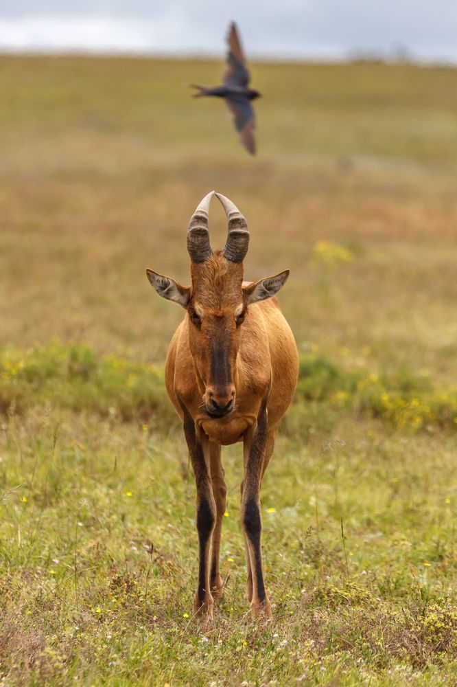 Photograph by Василий Бережной