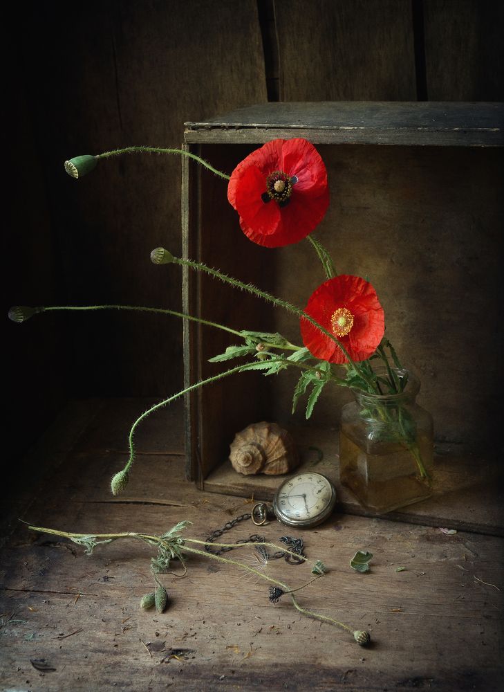 Photograph by Александр Хромеев