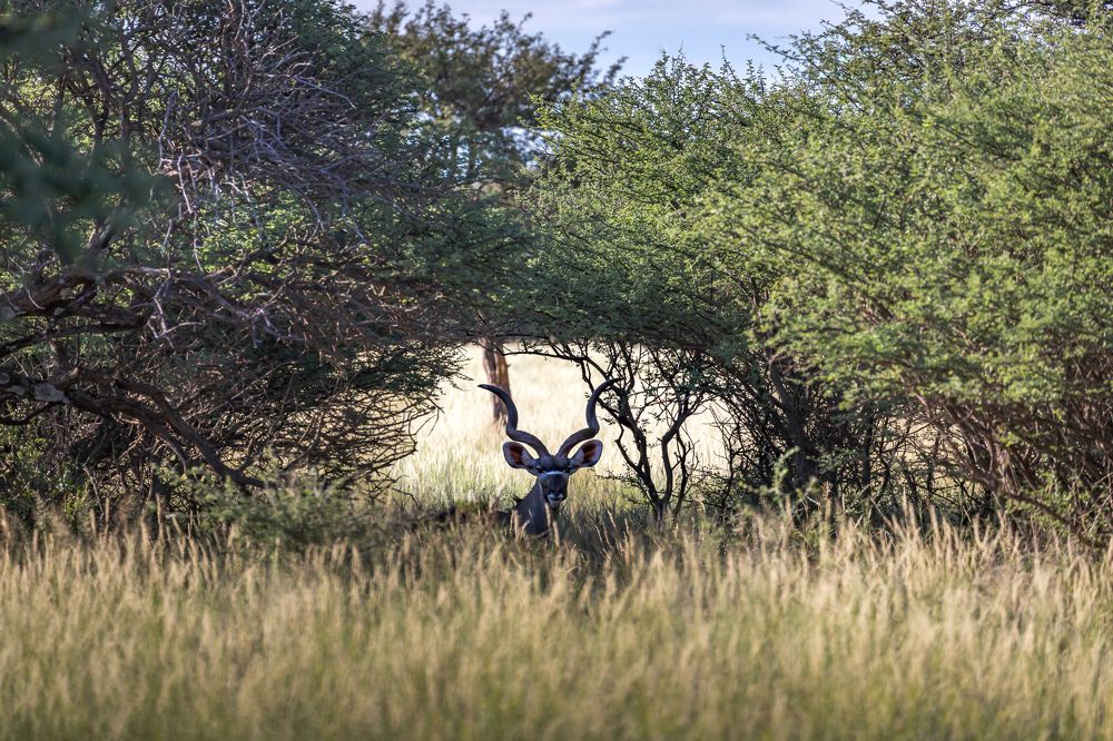 Photograph by Василий Бережной