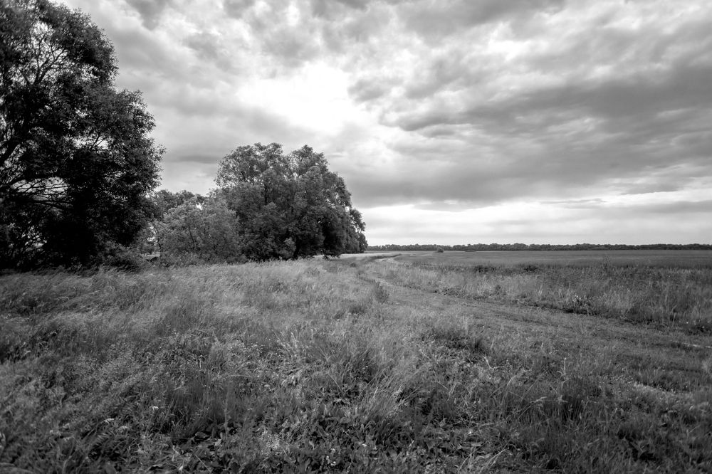 Photograph by Анопченко Ирина