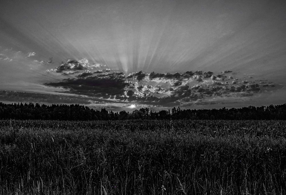 Photograph by Владимир Логвинов