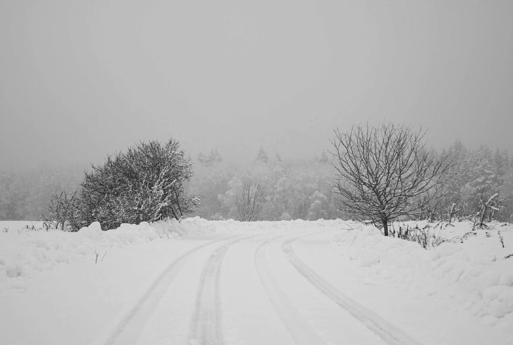 Photograph by Владимир Логвинов